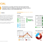Sustainability (ESG) Report Design and content development page 3