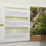 Sustainability Report Consultancy