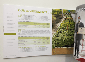 Sustainability Report Consultancy