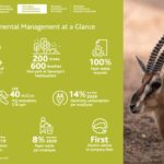 Sustainability Report Design Agency in Dubai