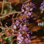 Sustainability (ESG) Report, Tawuniya 2023