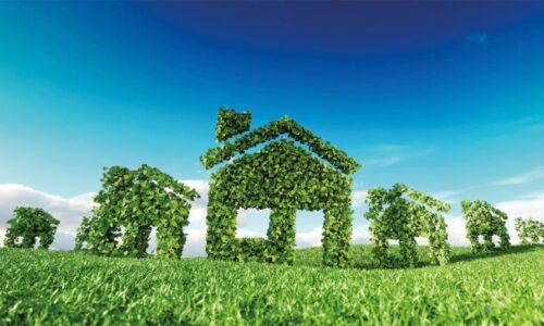 iStock_1048838798_ss-1024x536-1 sustainability report design and copywriting services